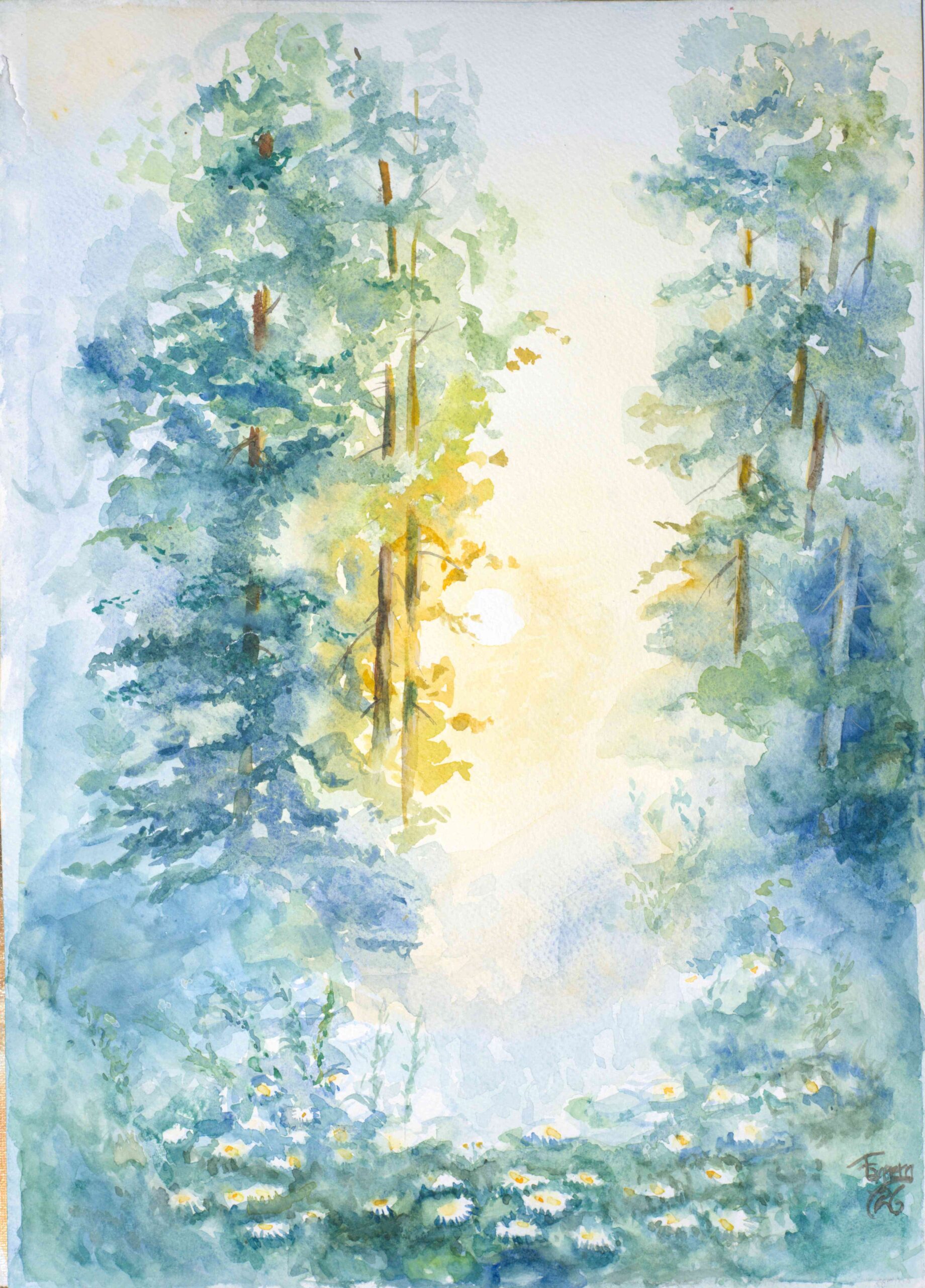 Sol i skogen