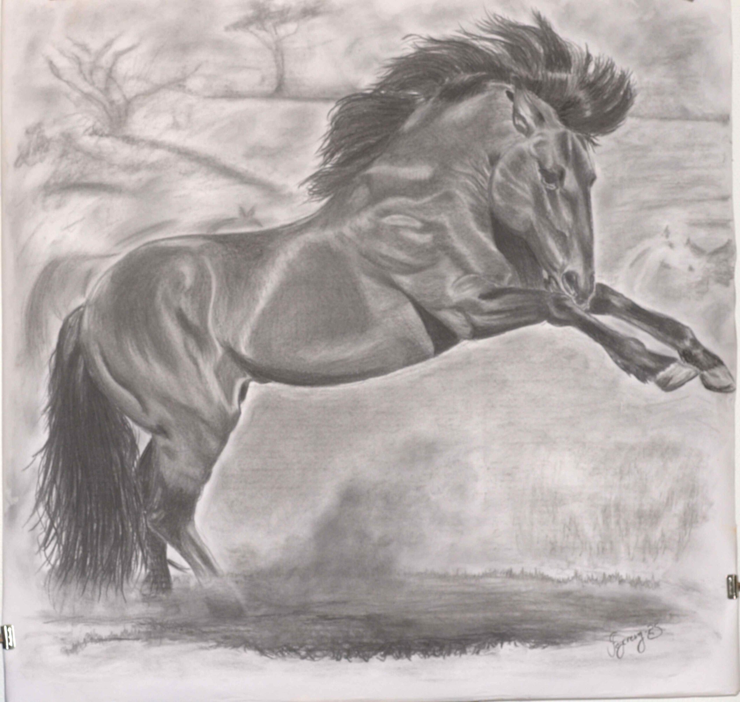 Mustang 96 x 91 cm
